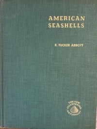 Image of American Seashells