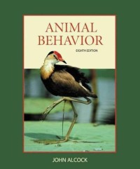 Image of Animal Behavior: An Evolutionary Approach