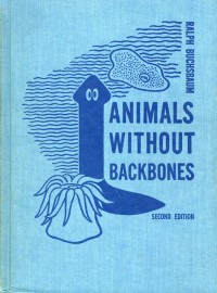 Image of Animals Without Backbones