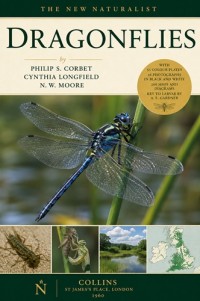 Image of Dragonflies