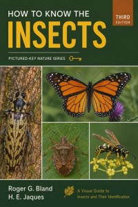 Image of How to Know the Insects