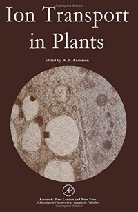 Image of Ion Transport in Plants