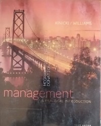 Image of Management a practical Introduction