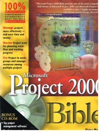 Image of MICROSOFT PROJECT 2000 BIBLE
