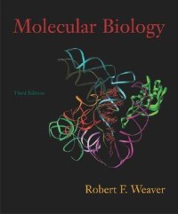 Image of Molecular Biology