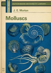 Image of Molluscs