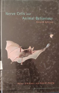 Image of Nerve cells and animal behaviour