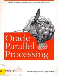 Image of Oracle Parallel Processing