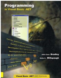 Image of programming in Visual Basic.NET