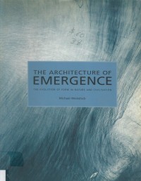 Image of THE ARCHITECTURE OF EMERGENCE